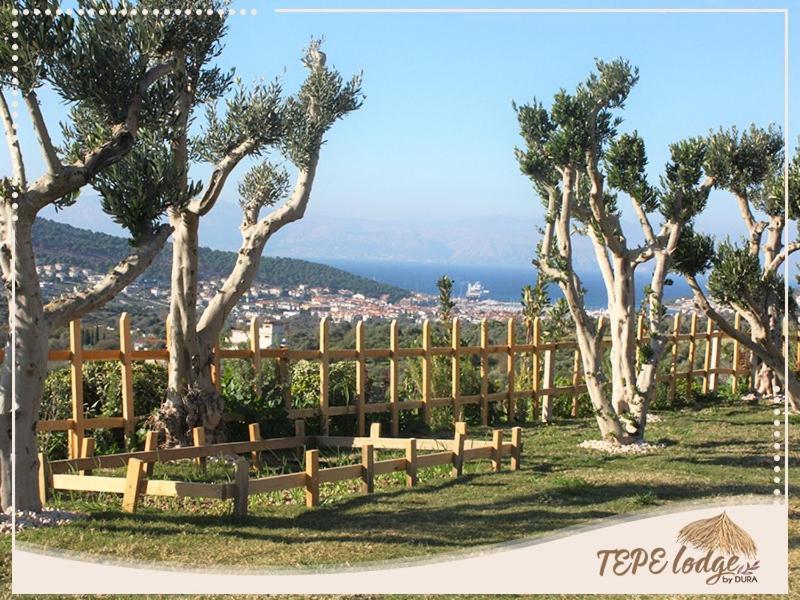 Tepe Lodge Çeşme Εξωτερικό φωτογραφία
